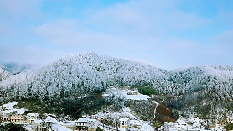 湖北现“林海雪原” 银装素裹风景如画