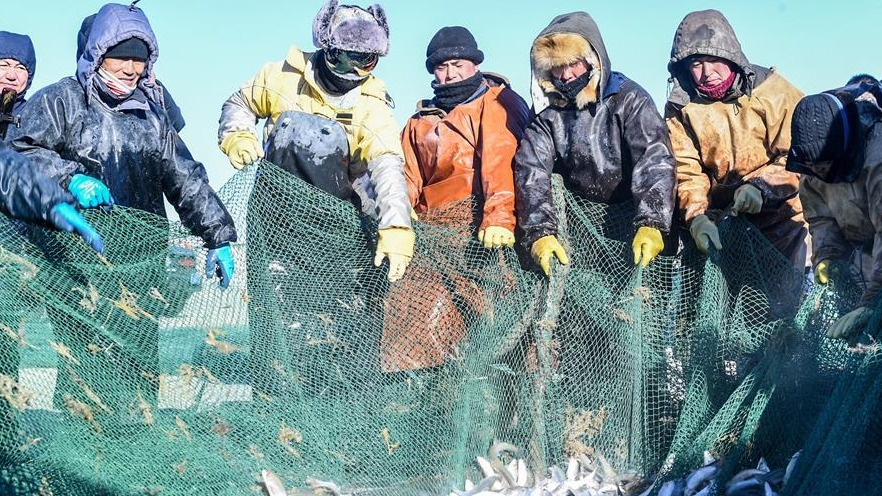 达里诺尔湖上冬捕忙