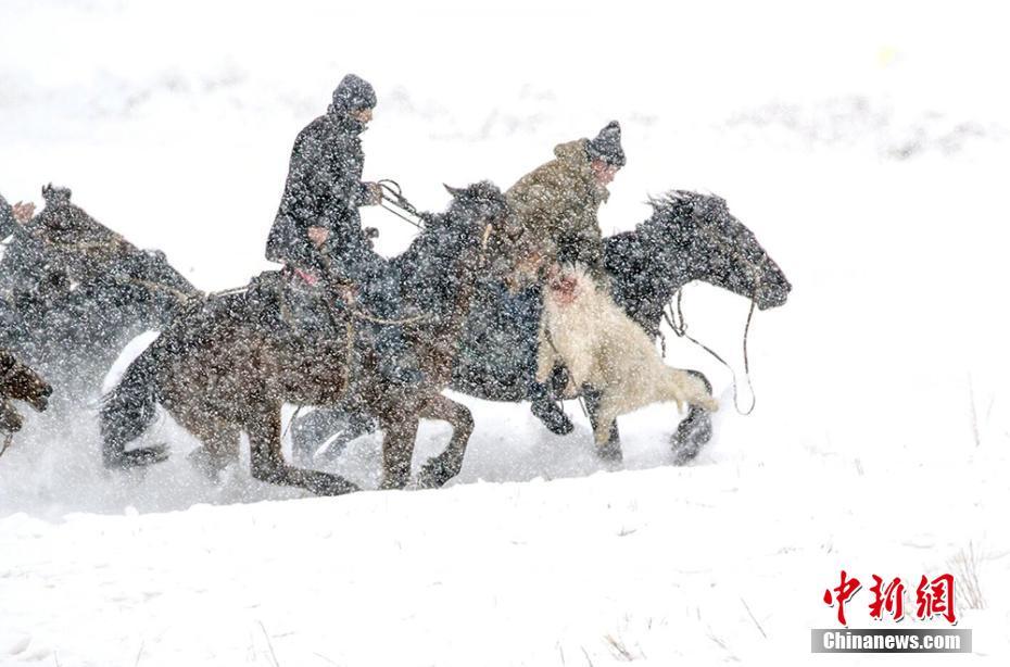 新疆伊宁县冰雪旅游活动上演刁羊、鹰猎比赛