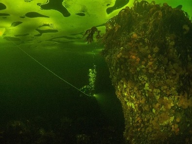 潜水员探索冰下海底世界 如临外星