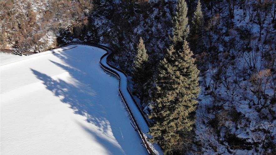 冬季北山的“林海雪原”