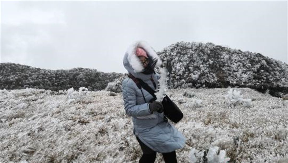 低温持续 广西大明山草木成冰现大规模雾凇