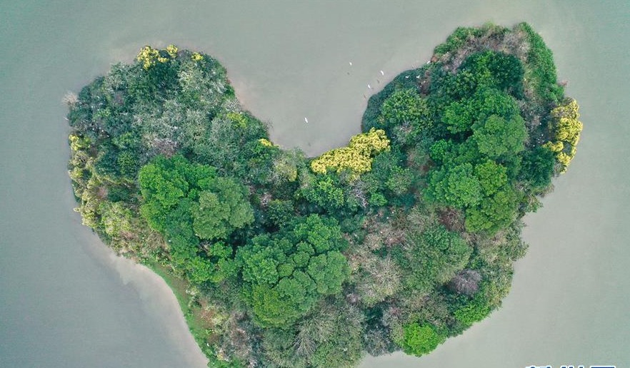 福建漳州：春到碧湖