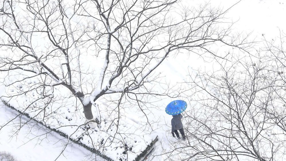 春节前夕 全国多地迎来降雪天气