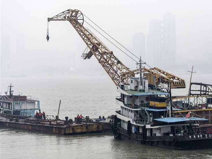 武汉启动规模最大的港口码头优化调整
