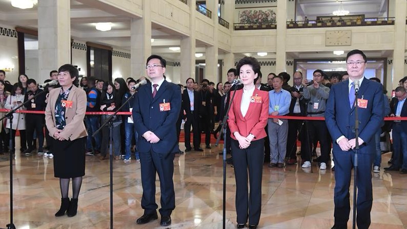 全国政协委员接受采访