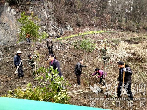 竹山县植下一片荫表达感恩心