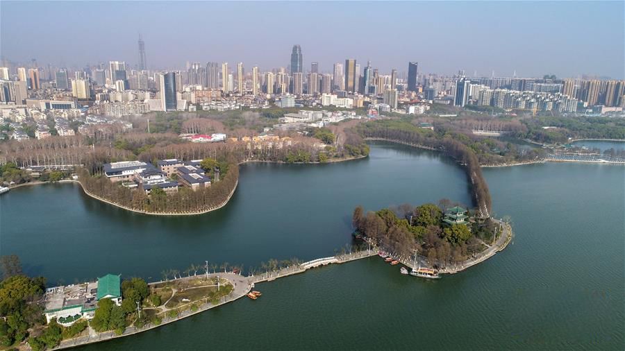 春到武汉东湖