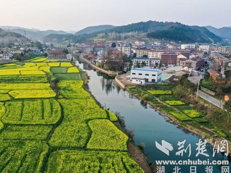 航拍荆门东宝油菜花海 黄绿相间如调色盘