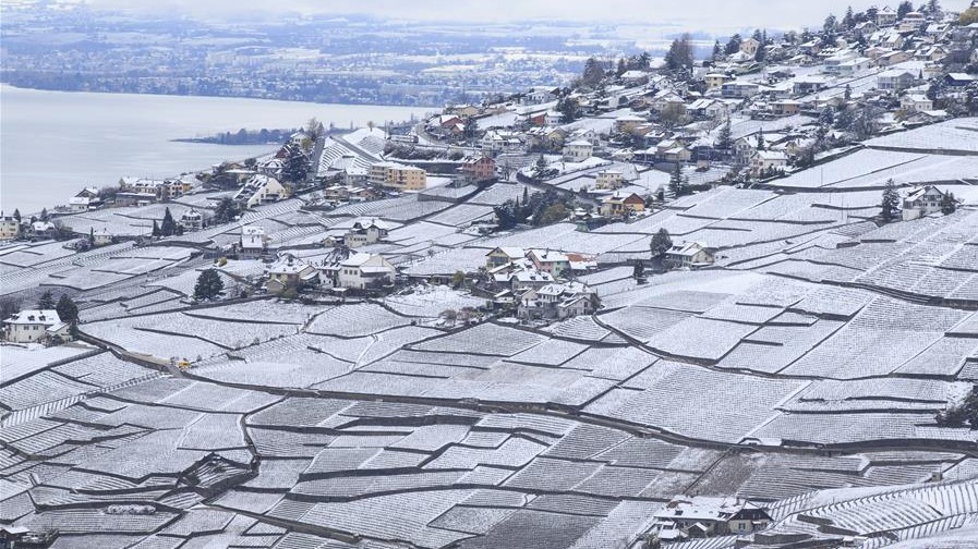 瑞士拉沃春雪