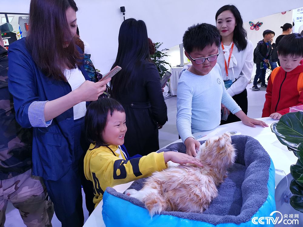 仿真猫亮相武汉世界大健康博览会 萌翻众人