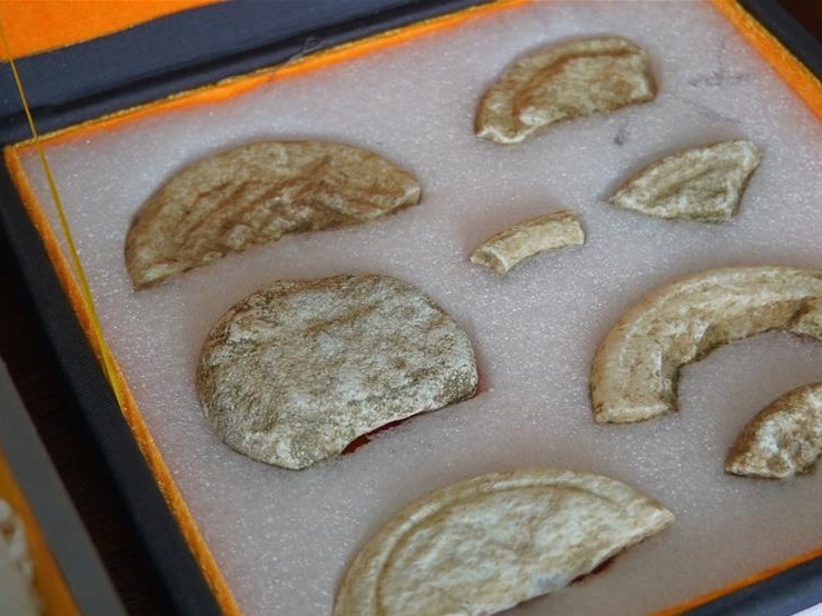 河南南阳发现5000年前玉石器制作中心聚落和疑似氏族首领墓葬