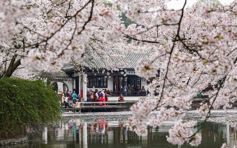 春到太湖