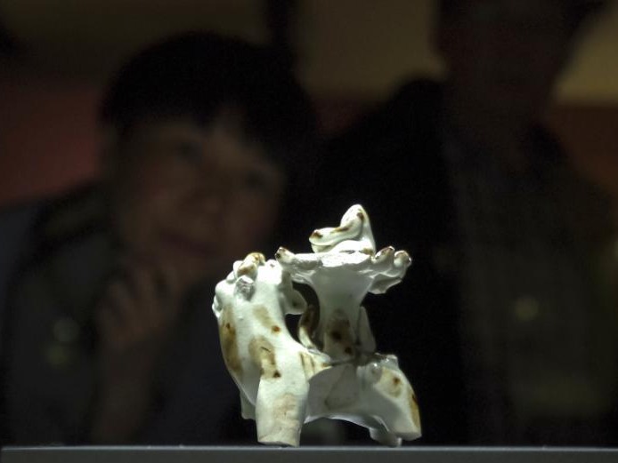 “殊方共享——丝绸之路国家博物馆文物精品展”在北京开幕