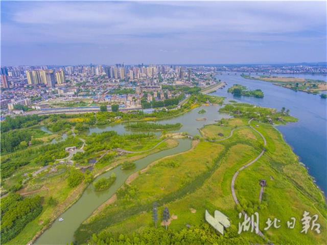 襄阳月亮湾公园：湿地如画城中绘