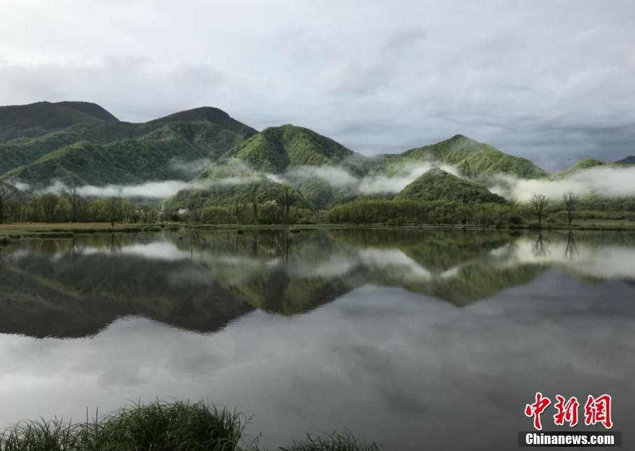 神农架大九湖 晨雾缥缈处清丽水云间