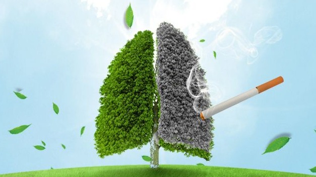 人民日报：从严控烟助力全民健康