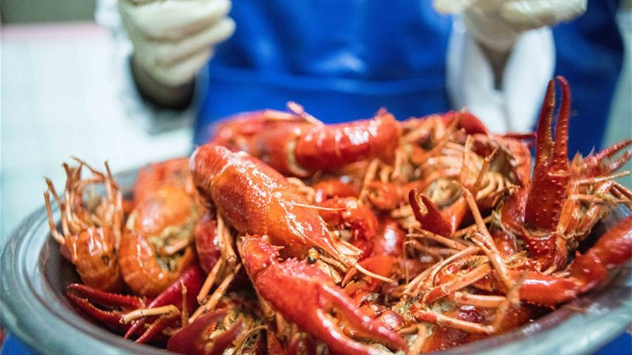 从尼罗河畔到中国餐桌——一只“洋”小龙虾的36小时旅程