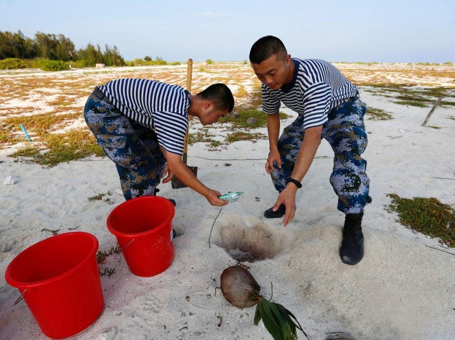 撒盐植树、刨沙种草 中建驻岛官兵“反常识”绿化海岛