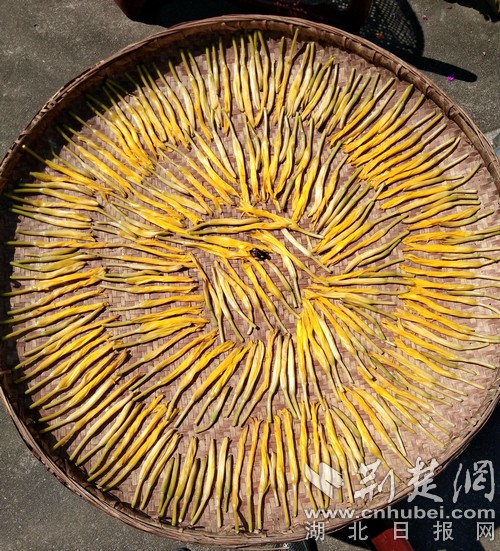 竹山八旬党员美化家乡创文明 30年写诗不辍歌