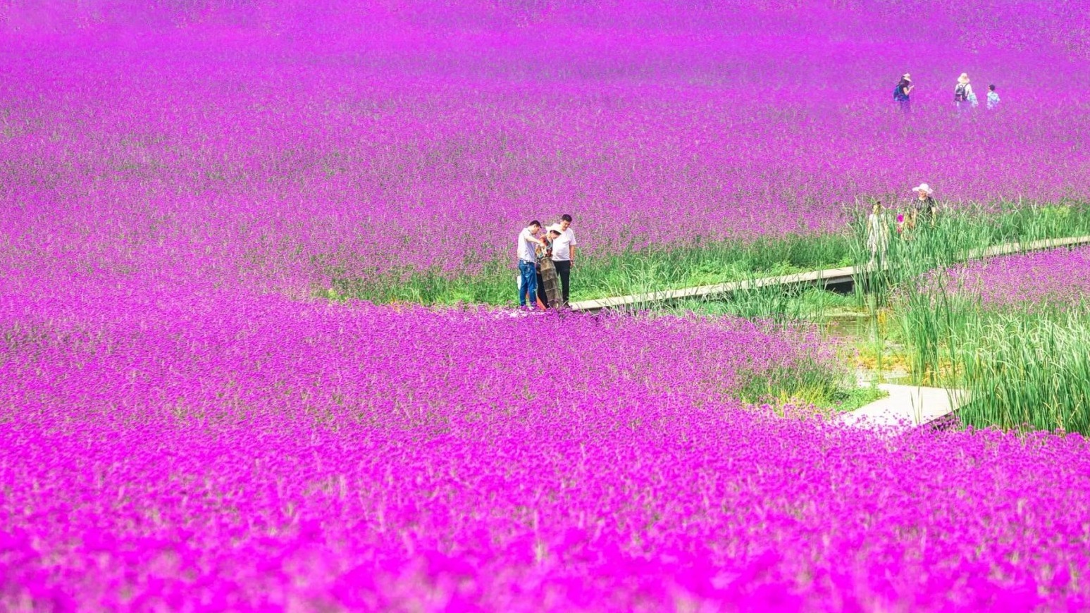 原来这才是武汉的夏天！