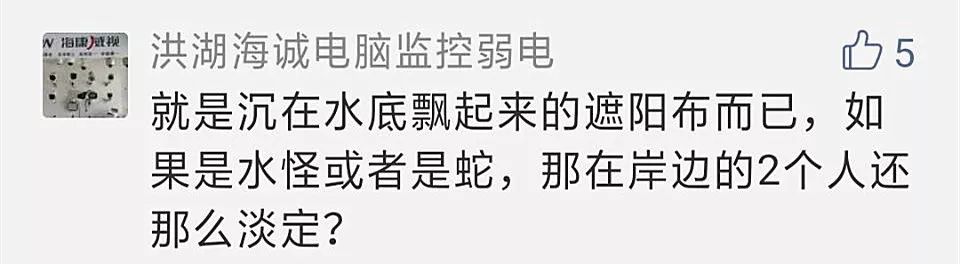 三峡坝区现神秘水怪？到底是啥？最新情况是……