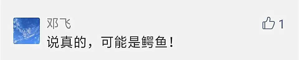 三峡坝区现神秘水怪？到底是啥？最新情况是……