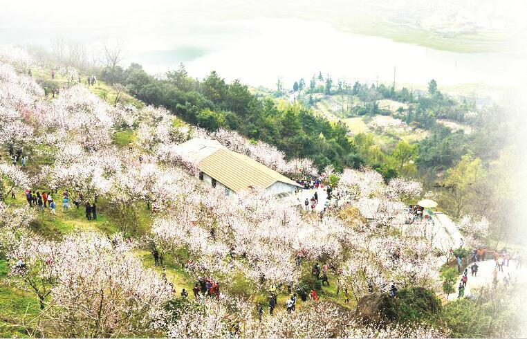 探索乡村振兴的大冶“保安路径”
