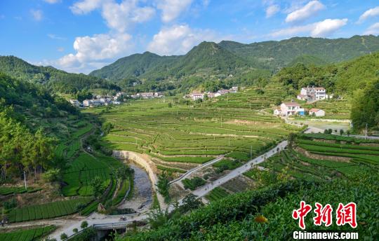 湖北英山县河南畈生态清洁小流域.湖北省水利厅供图