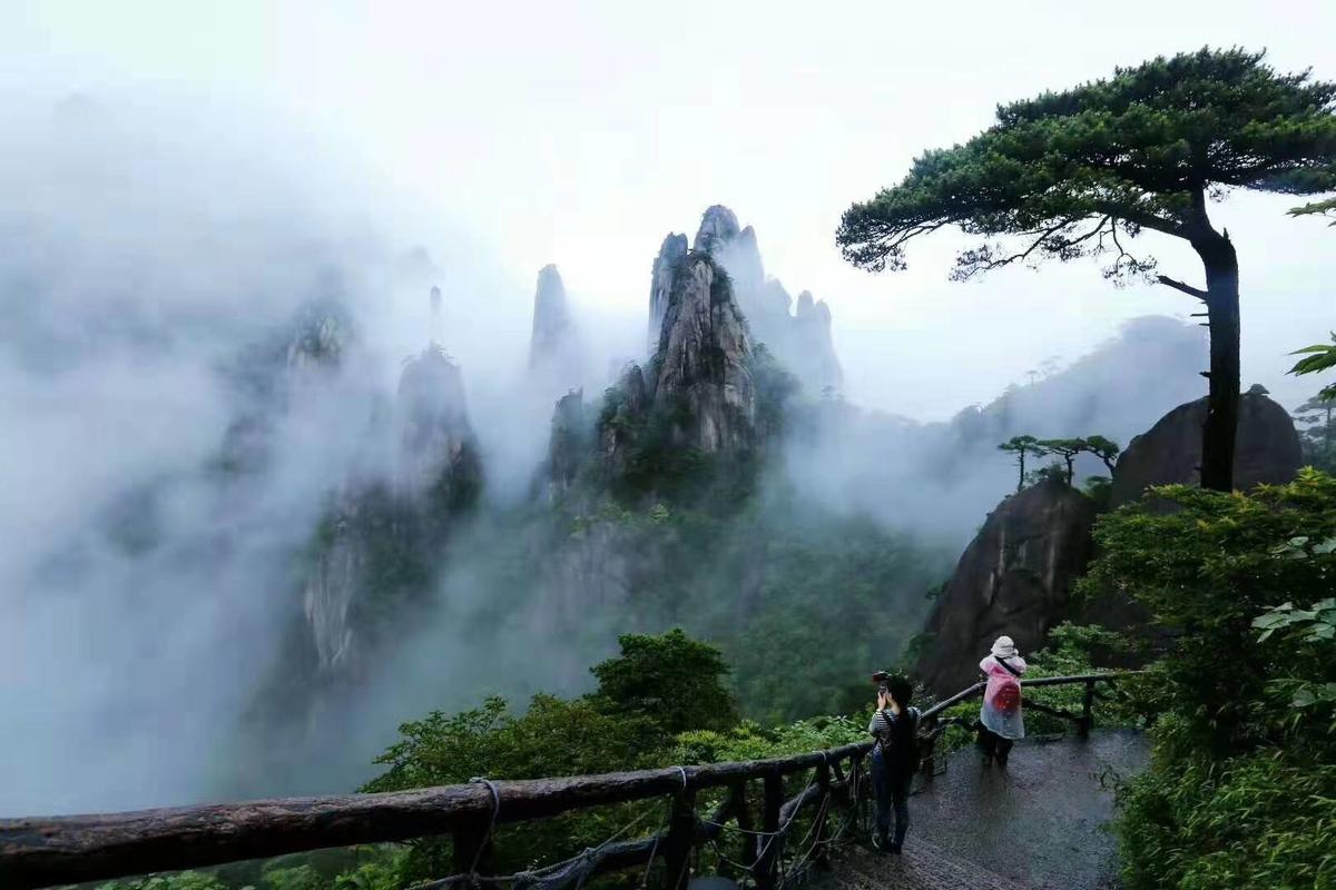 秋意烂漫,三清山的林间藏着"彩虹色"