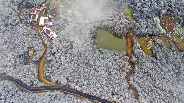 远安现林海雪原景观