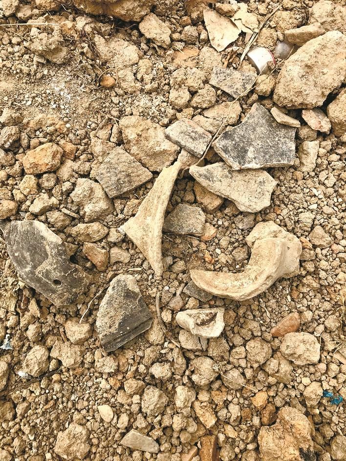 Ӧ���ַ���һ����ʯ��ʱ���ű�̬����1.80����ַ ���Լ5000�꣬����д���̽