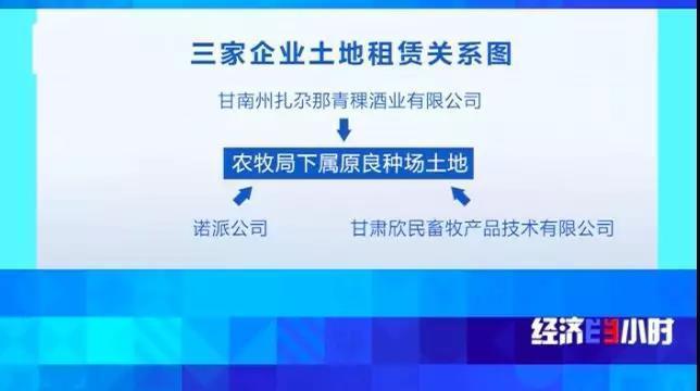 “一地三租”致商人千万打水漂 甘肃甘南成立调查组