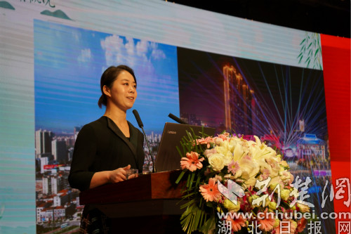 洪湖市委常委,宣传部长杨帆在开幕式上发布洪湖市全域旅游规划荆州市
