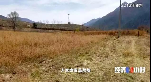 “一地三租”致商人千万打水漂 甘肃甘南成立调查组