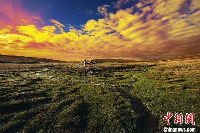 青海向全球递上四张名片（最新发布）