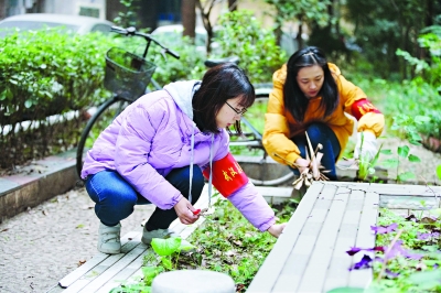 武汉，一座崇德向善之城，一周新增三大网红都是正能量(图2)