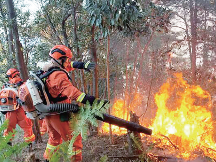 广东佛山爆发山火 800多名消防员鏖战90小时灭火