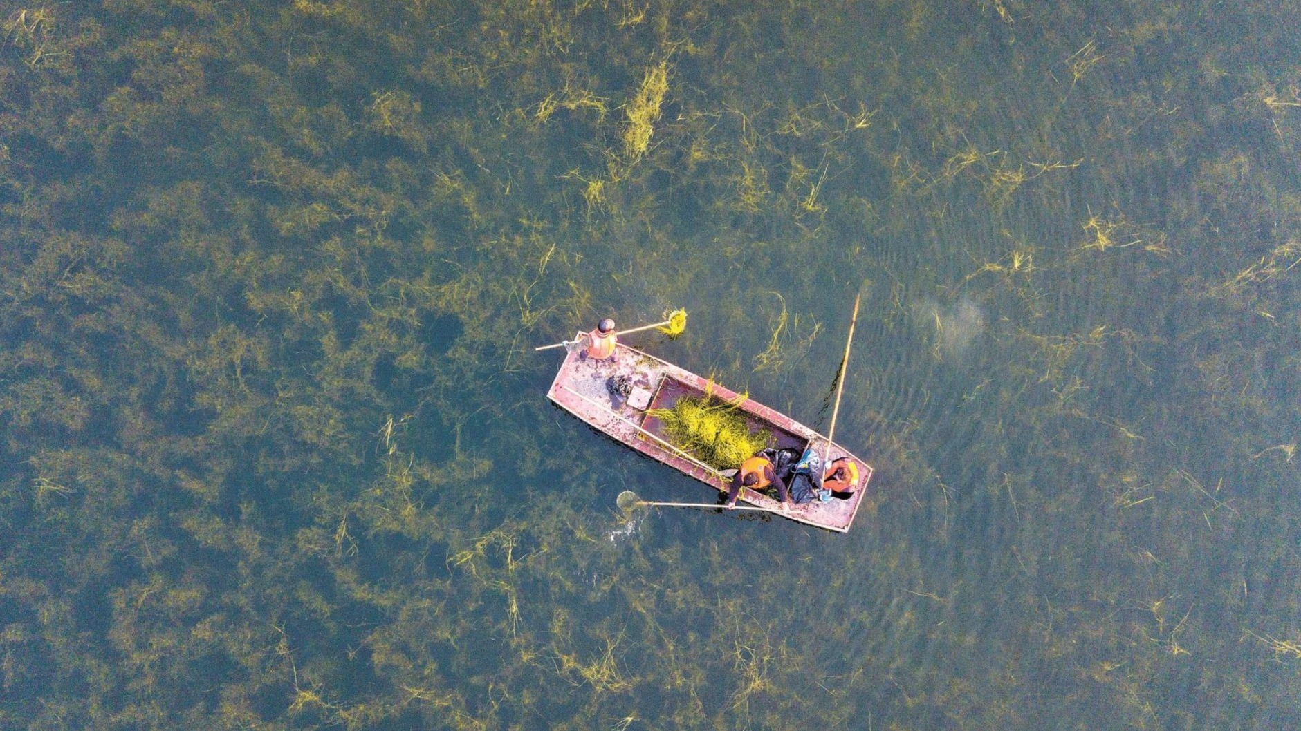 湖底风光