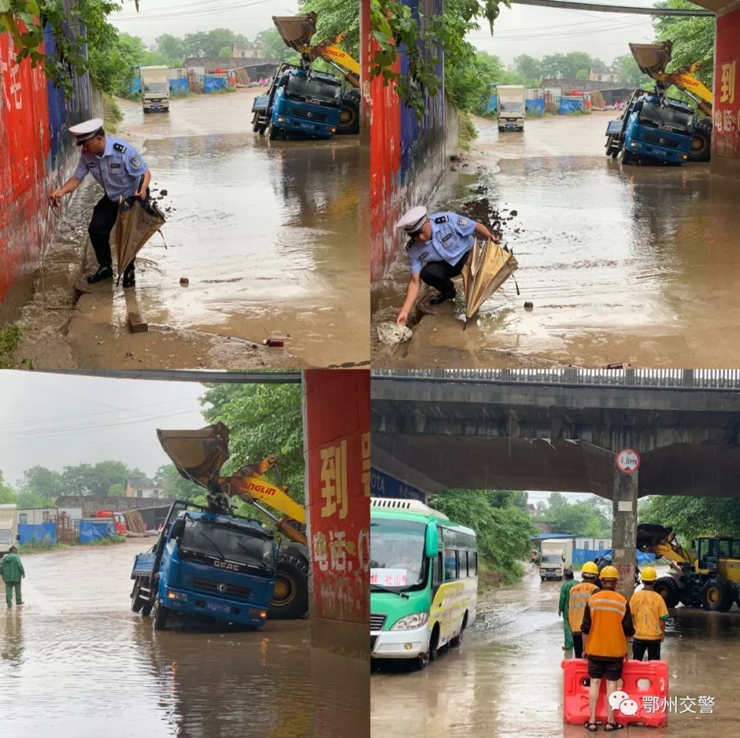 鄂黄黄人口_黄黄的表情包(2)