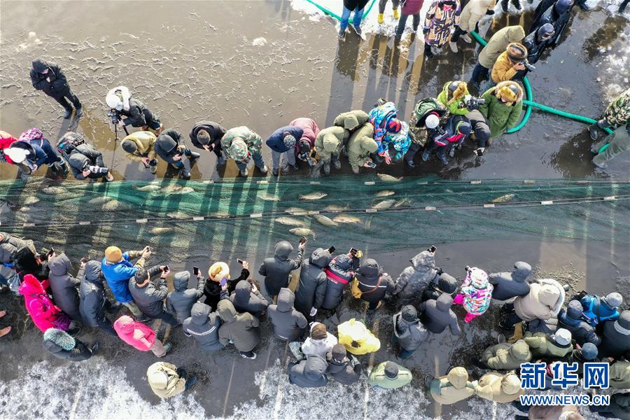 呼伦贝尔本地资讯