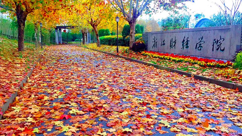 秋冬之交，这些高校太美了！飞雪与繁花同现(图29)