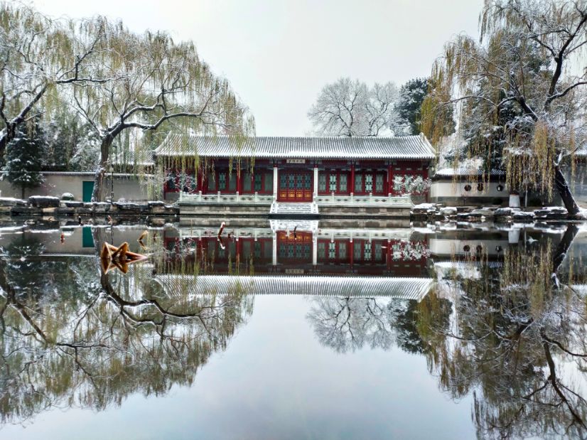 秋冬之交，这些高校太美了！飞雪与繁花同现(图5)