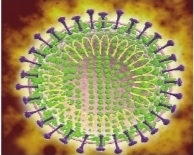 防控新型冠状病毒肺炎 你需要了解这些(图1)