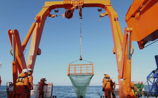 中国首次在南极宇航员海开展海洋生态调查