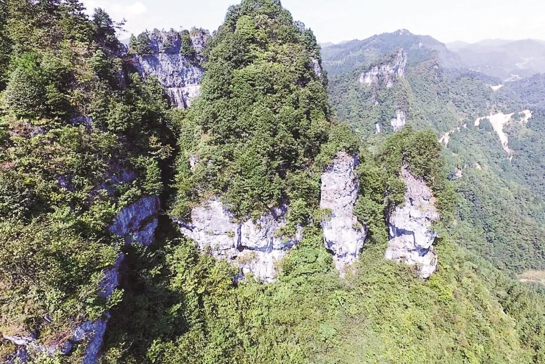 山峦叠嶂风景好 一树一石别样奇 利川深山里
发现夫妻树和夫妻石