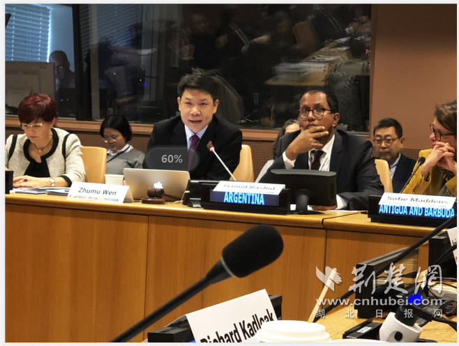 D50副秘书长文珠穆应邀出席联合国数字经济发展专家组会议