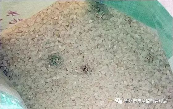 鄂州市紧急辟谣：库存充足，千万不要抢购粮油！