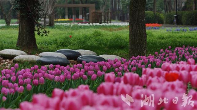 武汉植物园门票价格多少?中科院武汉植物园旅游攻略（什么时候去好玩？带图片）(图7)