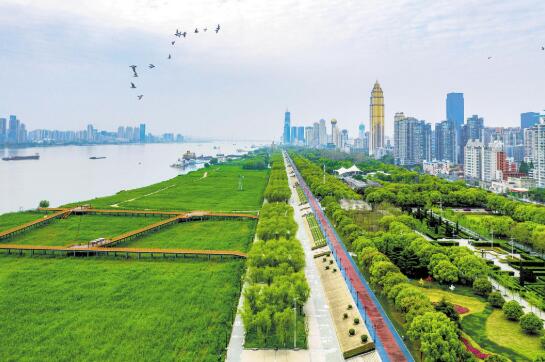 春回江城